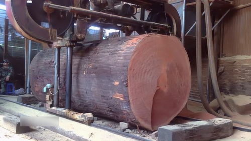 实拍越南工厂切割超大木头,每一块板材都要机器吊,看着好过瘾