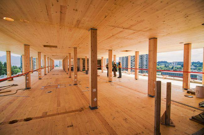 行业趋势2020年建筑木材值得关注的6种趋势
