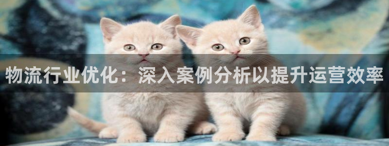 28圈黑款：物流行业优化：深入案例分