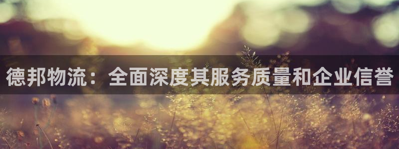 28圈游戏最新版：德邦物流：全面深度