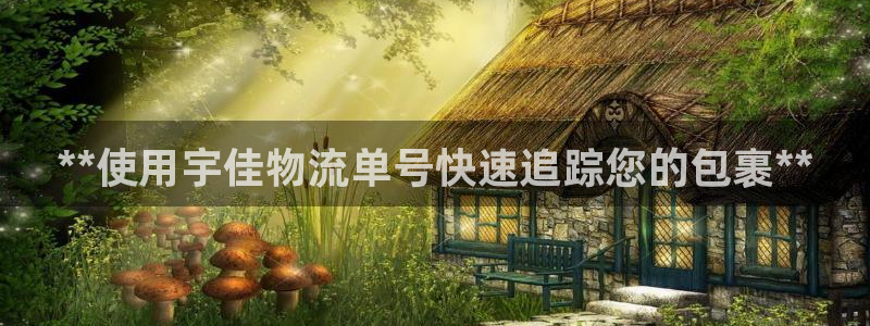 28圈充值