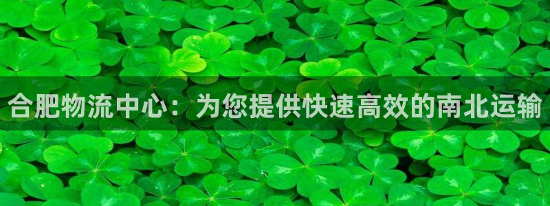 28圈app赢了500万：合肥物流中