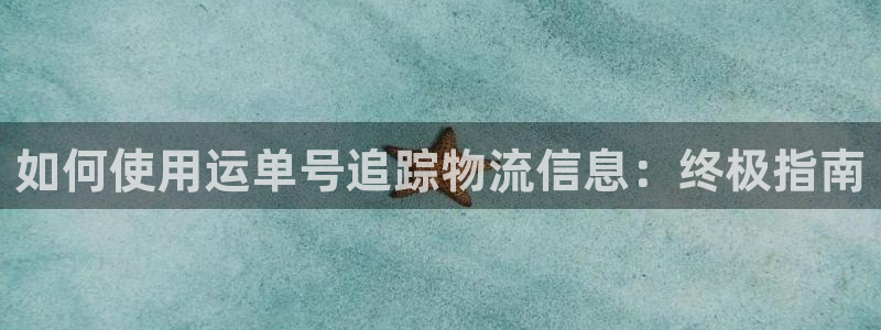 28圈注册网站：如何使用运单号追踪物