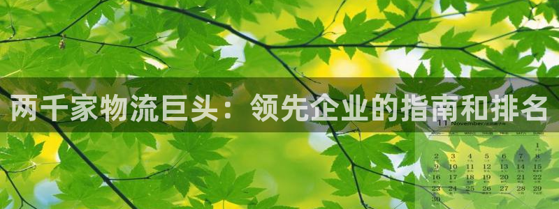 28圈注册登录流程：两千家物流巨头：