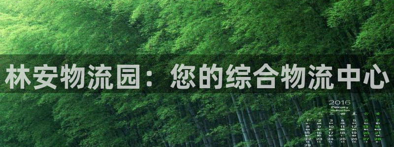 28圈官方网站：林安物流园：您的综合