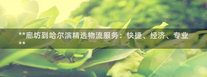 28圈官网开奖结果预测查询