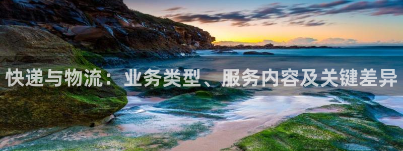 28圈注册网页：快递与物流：业务类型