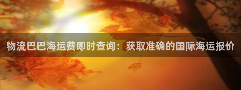 28圈模拟器下载
