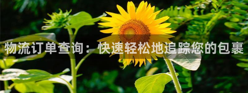 28圈官方网站：物流订单查询：快速轻