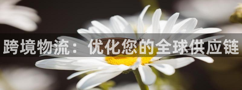 28圈.ccmpcios