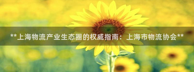 28圈入口问一问