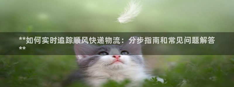 28圈注册网站多少钱：**如何实时追