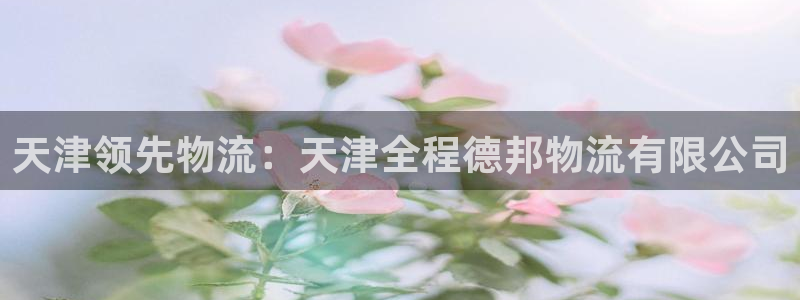 28圈注册网站APP：天津领先物流：