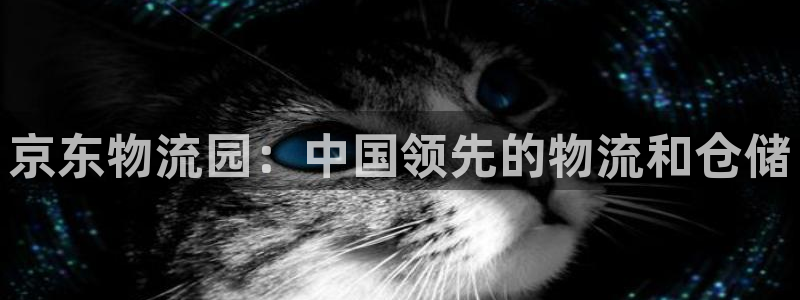 28圈.ccmpc28