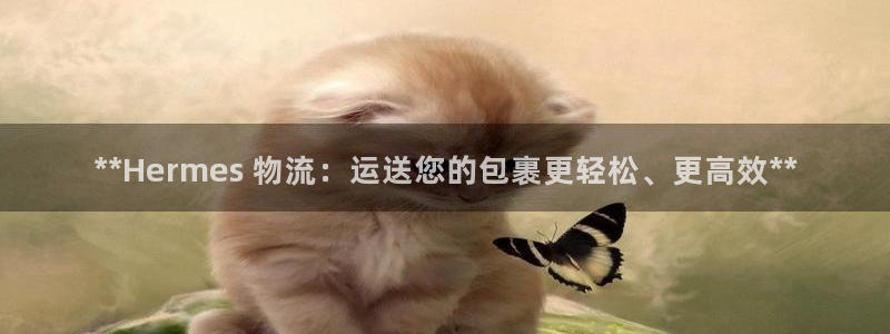 28圈.ccm官网：**Hermes