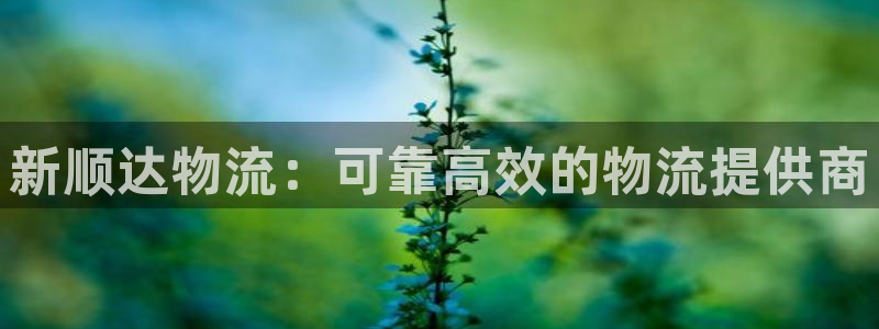 28圈.ccm：新顺达物流：可靠高效