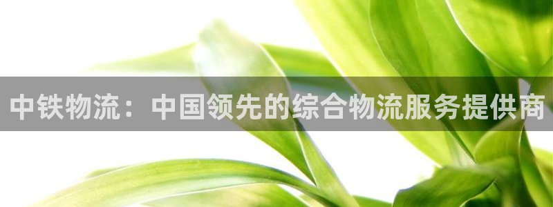28圈充值不处理