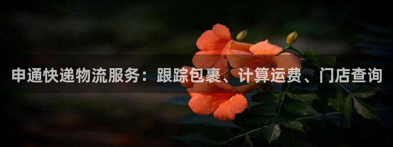 28圈退款