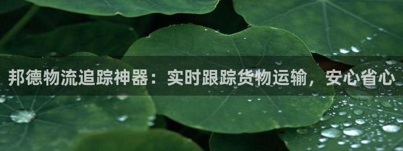 28圈p扣款什么意思