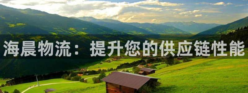 麻将128圈：海晨物流：提升您的供应