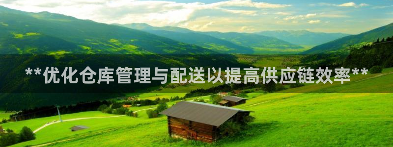 28圈v6能卖多少：**优化仓库管理