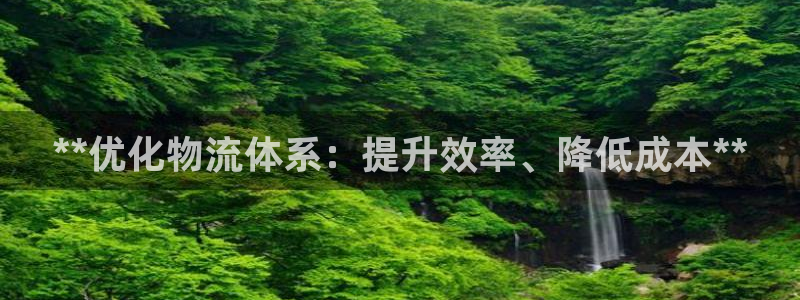 28圈注册网页版：**优化物流体系：