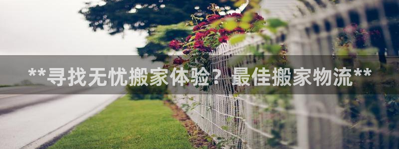 28圈网赌有什么风险