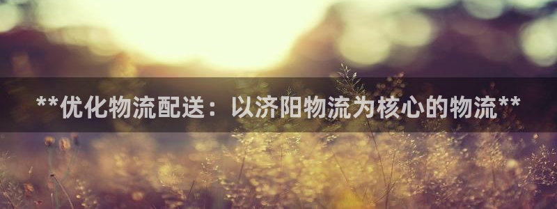 28圈如何看计划：**优化物流配送：