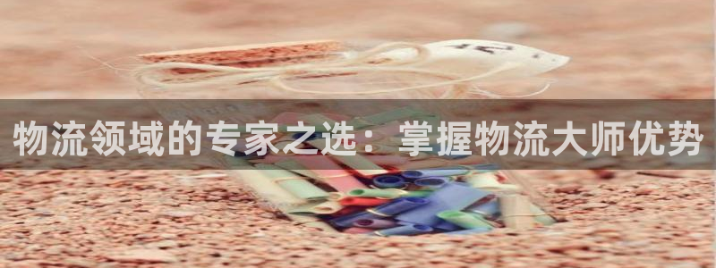 28圈游戏官网平台：物流领域的专家之