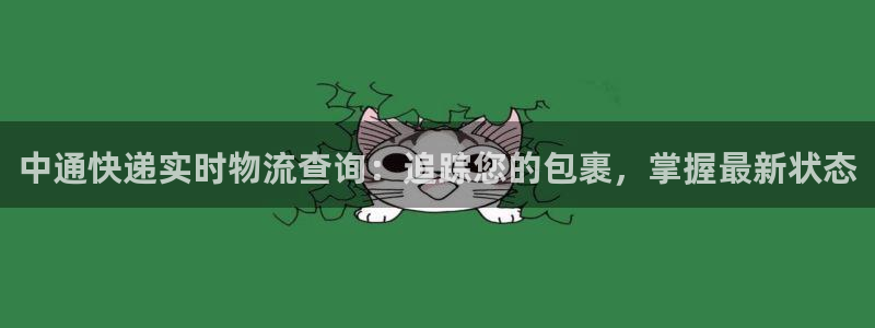 28圈下载不了：中通快递实时物流查询