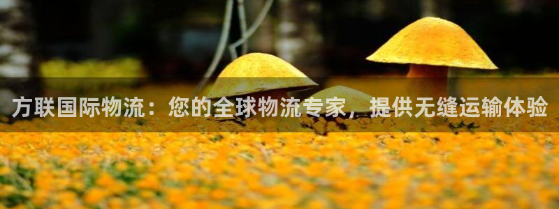 28圈网赌有什么风险
