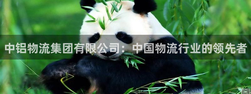 28圈可以退款吗：中铝物流集团有限公