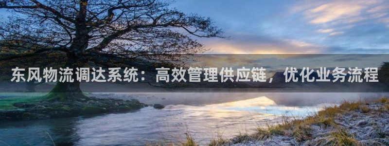 28圈官网版所有版本：东风物流调达系