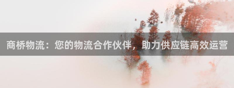 28圈注册链接教程：商桥物流：您的物