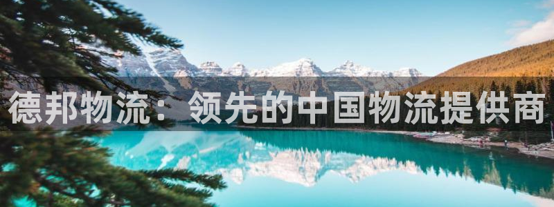 28圈起来的符号：德邦物流：领先的中