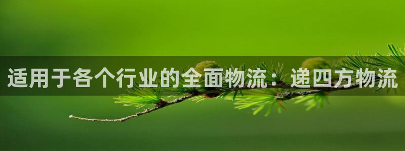 28圈官网网站
