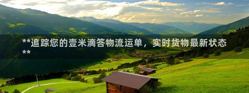 28圈吧：**追踪您的壹米滴答物流运
