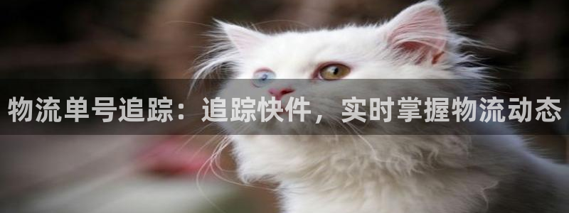 28圈初始资金密码在哪里改