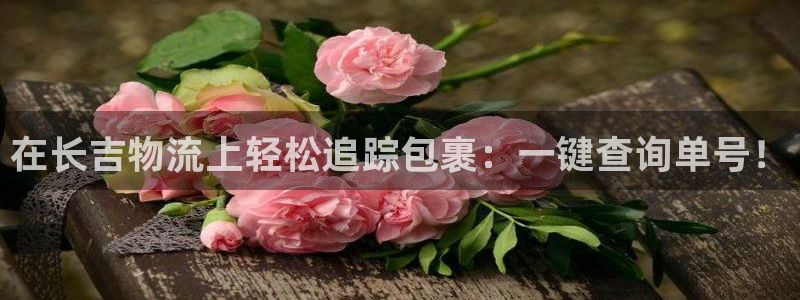 28圈口戒指是多大：在长吉物流上轻松