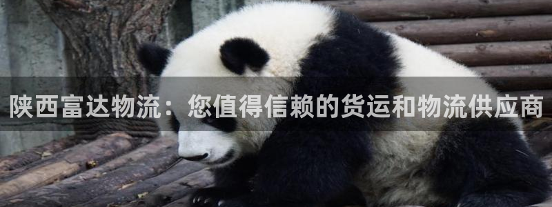 28圈入口问一问：陕西富达物流：您值