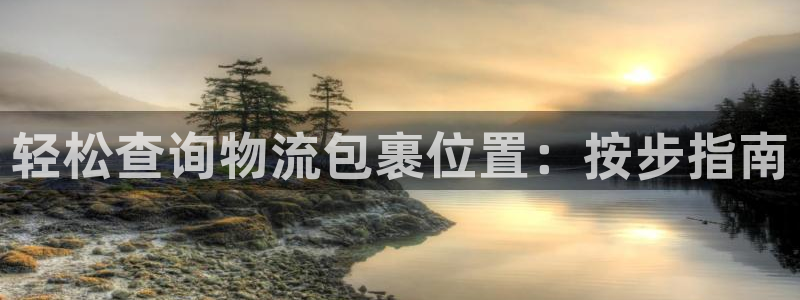 28圈正规吗：轻松查询物流包裹位置：