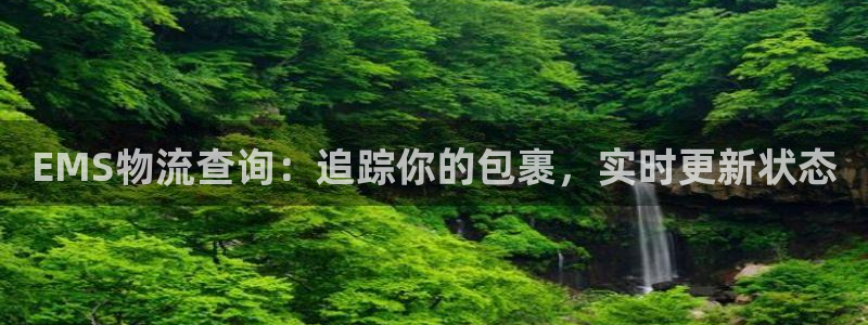 28圈加拿大6.0：EMS物流查询：