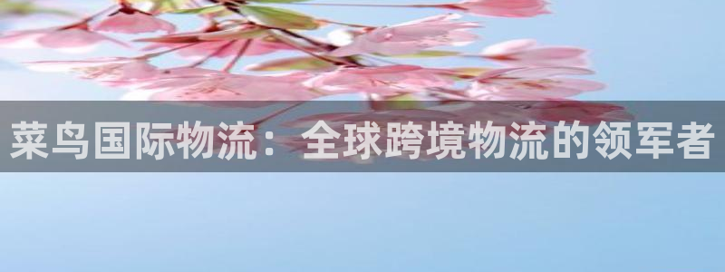 28圈登录流程：菜鸟国际物流：全球跨