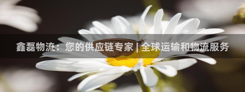 28圈游戏官网平台：鑫磊物流：您的供