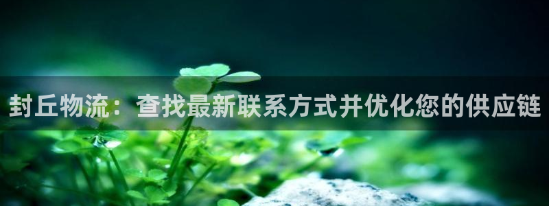 28圈加拿大技巧：封丘物流：查找最新