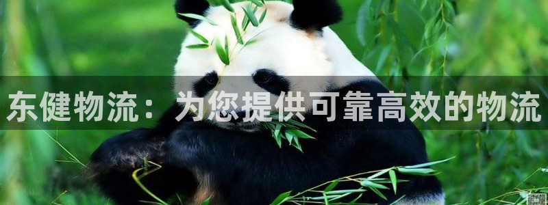 28圈加拿大怎么玩