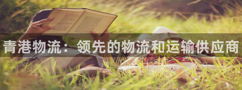28圈充值不到账怎么办：青港物流：领