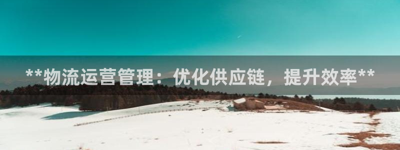28圈提现不到账：**物流运营管理：