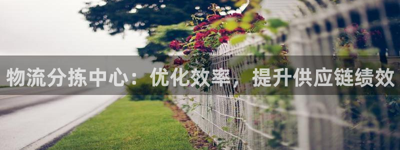 28圈不给提现：物流分拣中心：优化效
