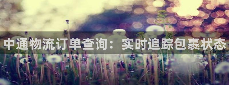 28圈反水：中通物流订单查询：实时追